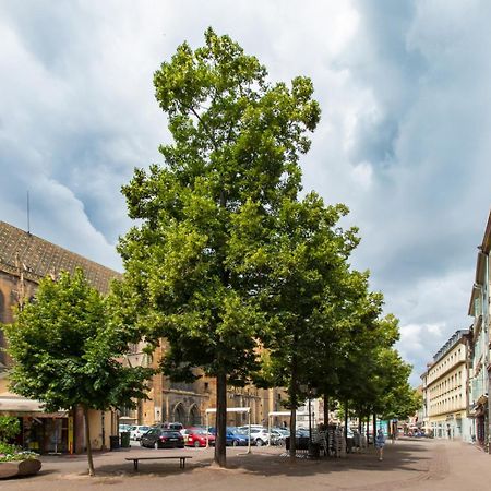 Le Griffon Apartment Colmar Exterior foto
