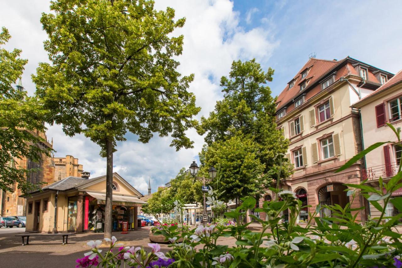 Le Griffon Apartment Colmar Exterior foto